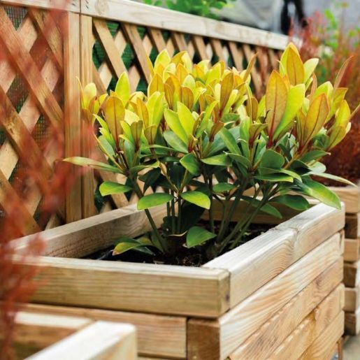 AMÉNAGEMENT DE JARDIN